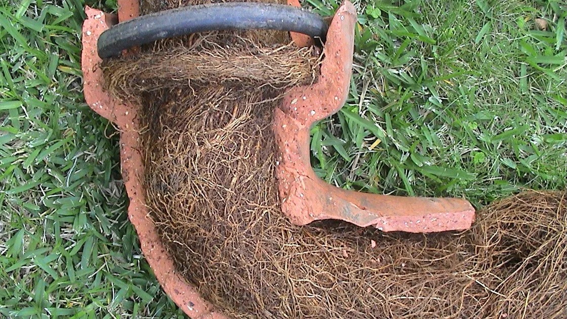 Drain Unblocking Salisbury | Drains24